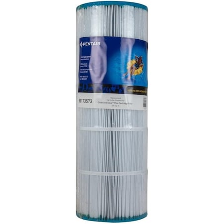 Pentair Crtg Rplcmnt Cnc Pls 320 R173573